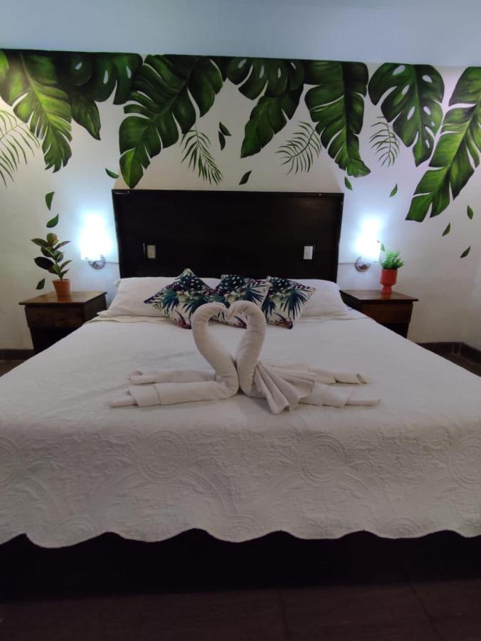 Hotel Cafenaranja Xilitla ภายนอก รูปภาพ